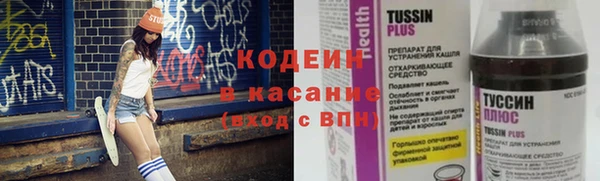 ПСИЛОЦИБИНОВЫЕ ГРИБЫ Верея