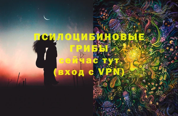 прущие крисы Бугульма